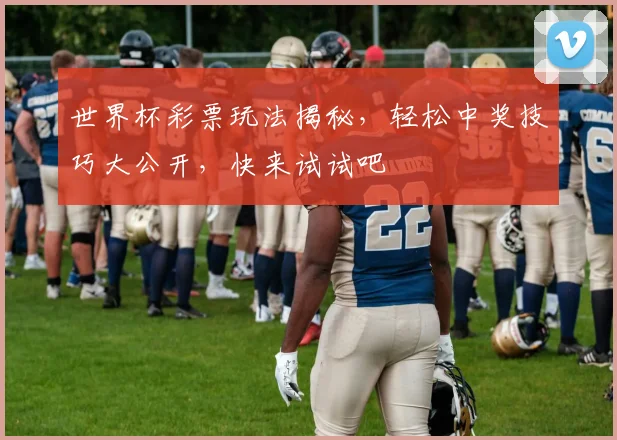 世界杯彩票玩法揭秘，轻松中奖技巧大公开，快来试试吧